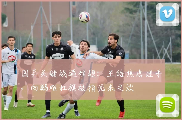 国乒关键战遇难题:王皓焦虑搓手,向鹏难扛旗被指无米之炊