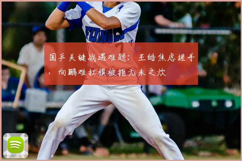 国乒关键战遇难题:王皓焦虑搓手,向鹏难扛旗被指无米之炊